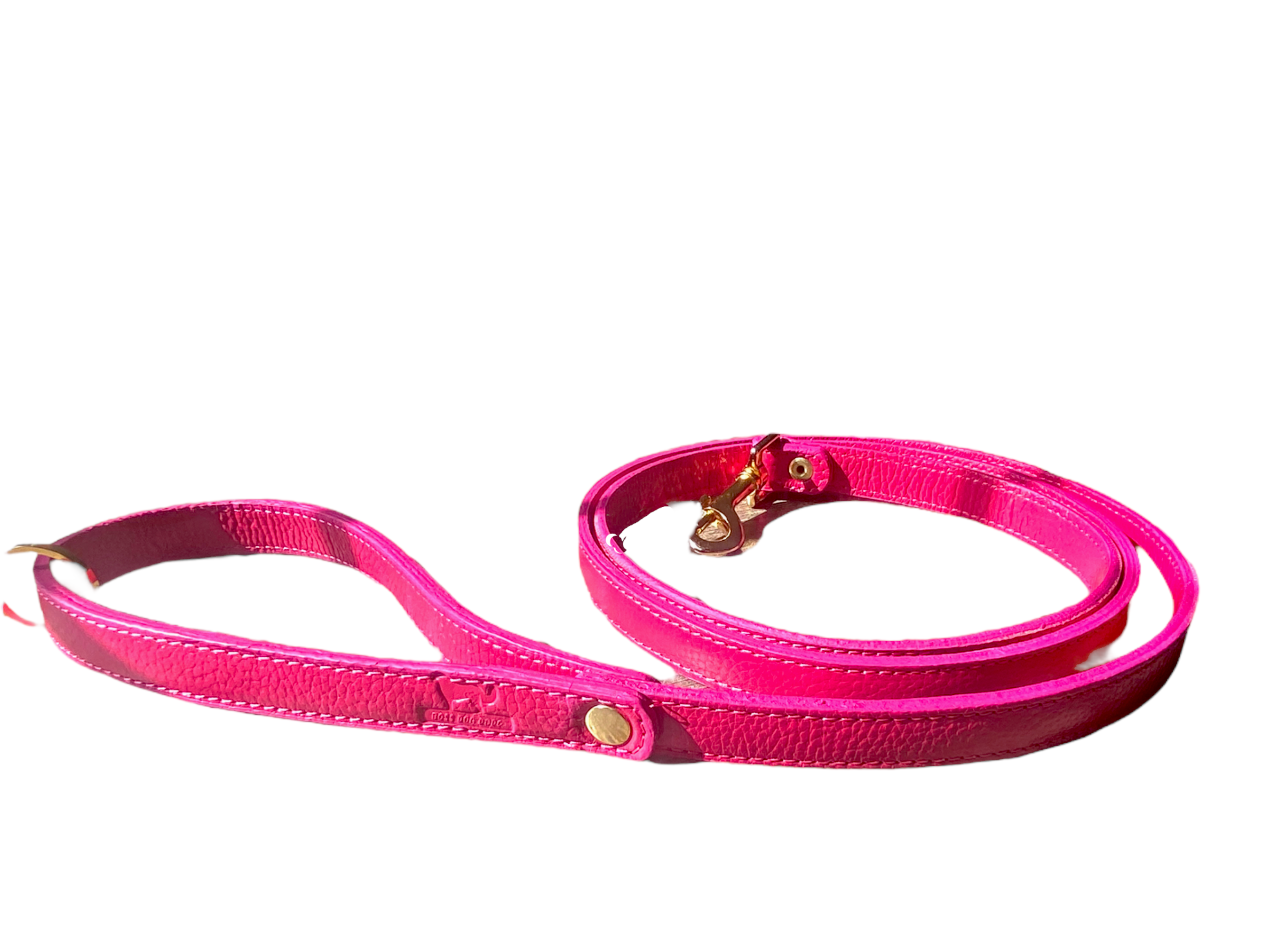 PUPWISER Handmade Leather Dog Leash