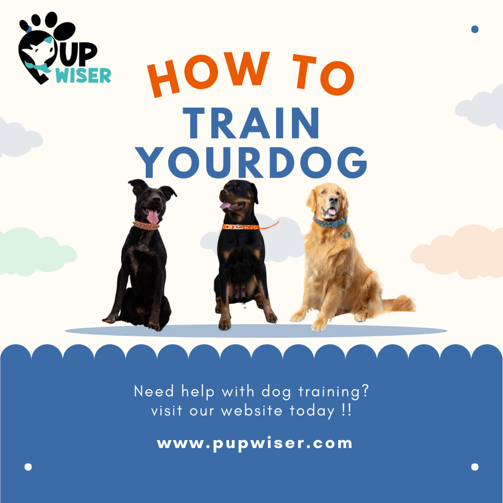 Steps to sales train a dog