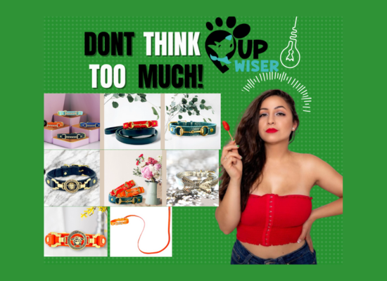 CHOOSING THE SUITABLE  COLOURFUL LEATHER DOG COLLAR
