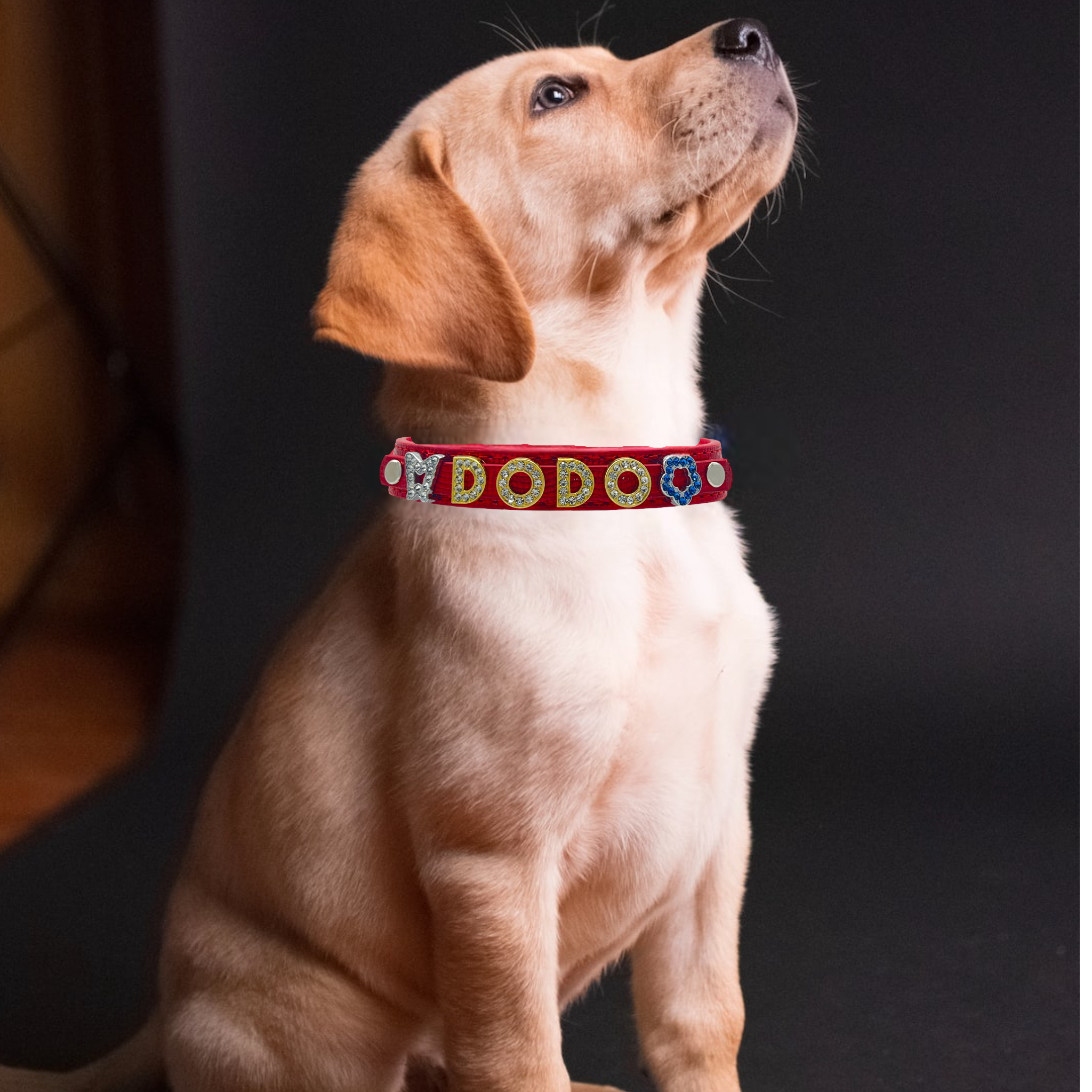 ALPHABET Shine Personalized Handmade PU Leather Dog Collar