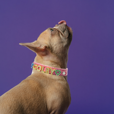 ALPHABET Alligator Texture Personalized Handmade PU Leather Dog Collar