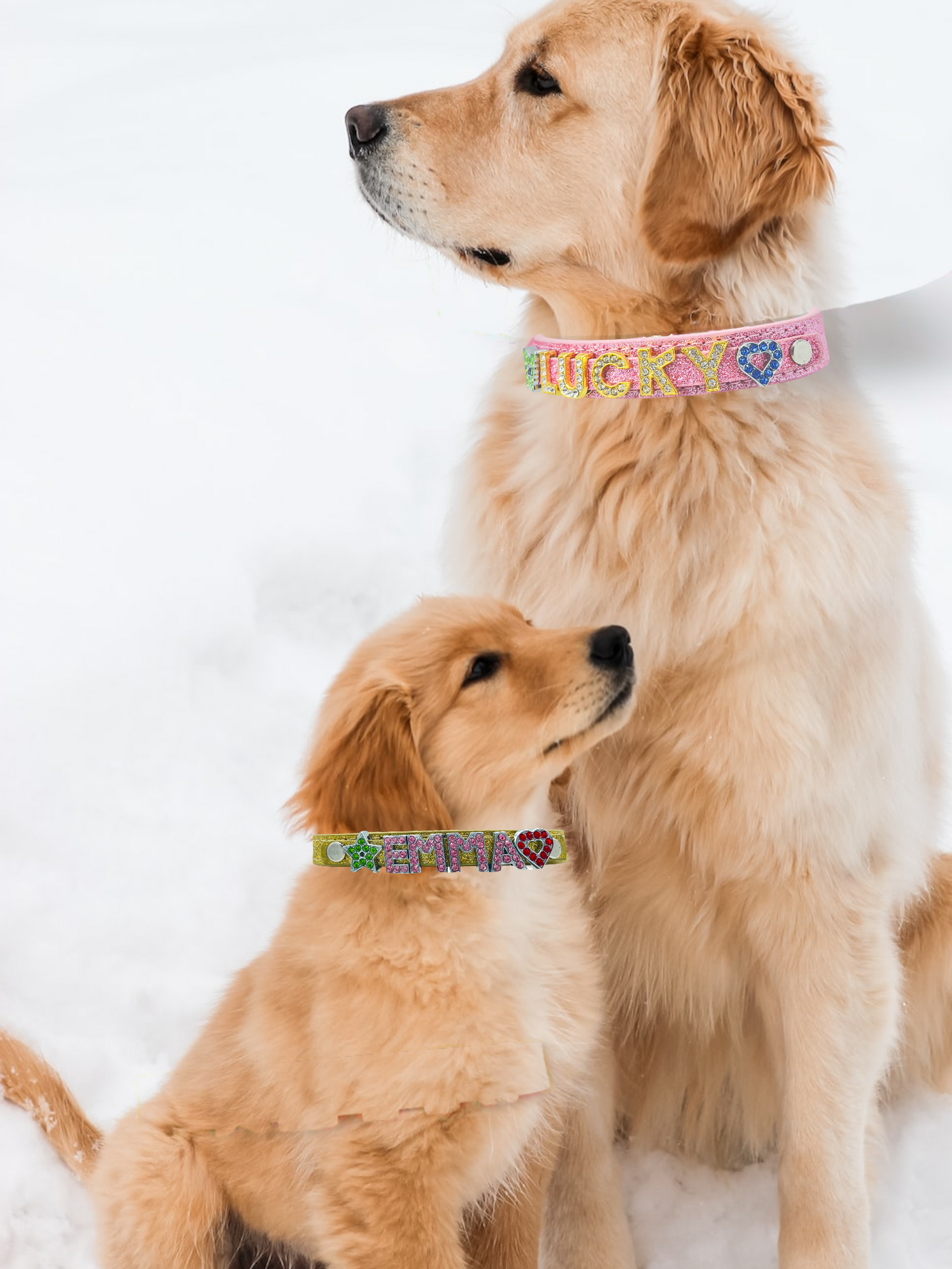 ALPHABET Brilliance Personalized Handmade PU Leather Dog Collar