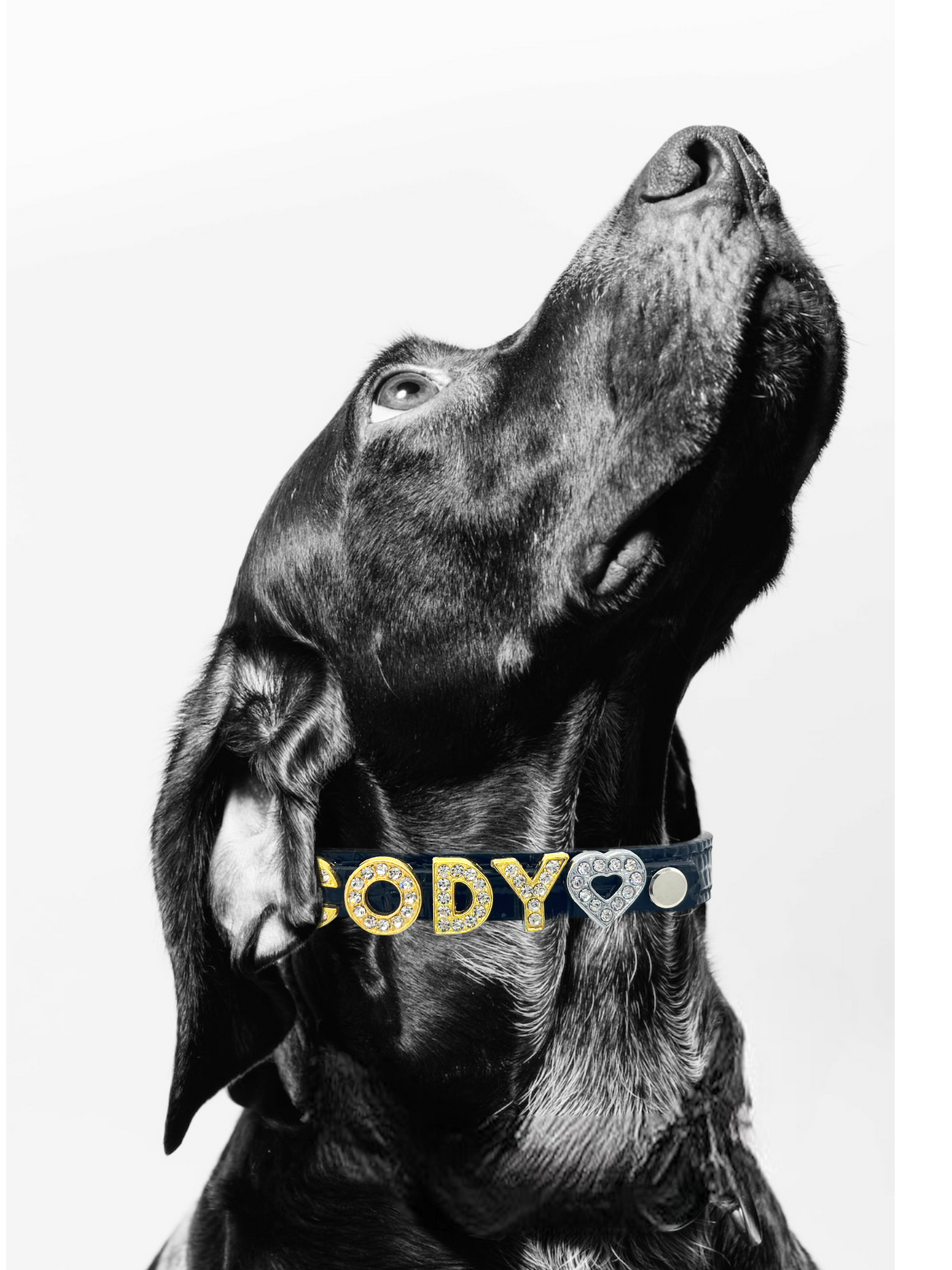 ALPHABET Alligator Texture Personalized Handmade PU Leather Dog Collar