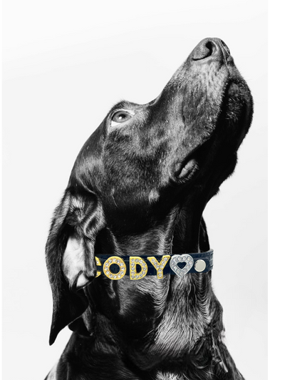 ALPHABET Alligator Texture Personalized Handmade PU Leather Dog Collar