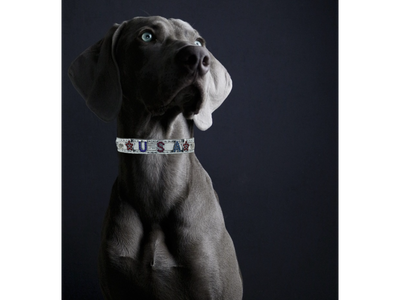 ALPHABET Shine Personalized Handmade PU Leather Dog Collar