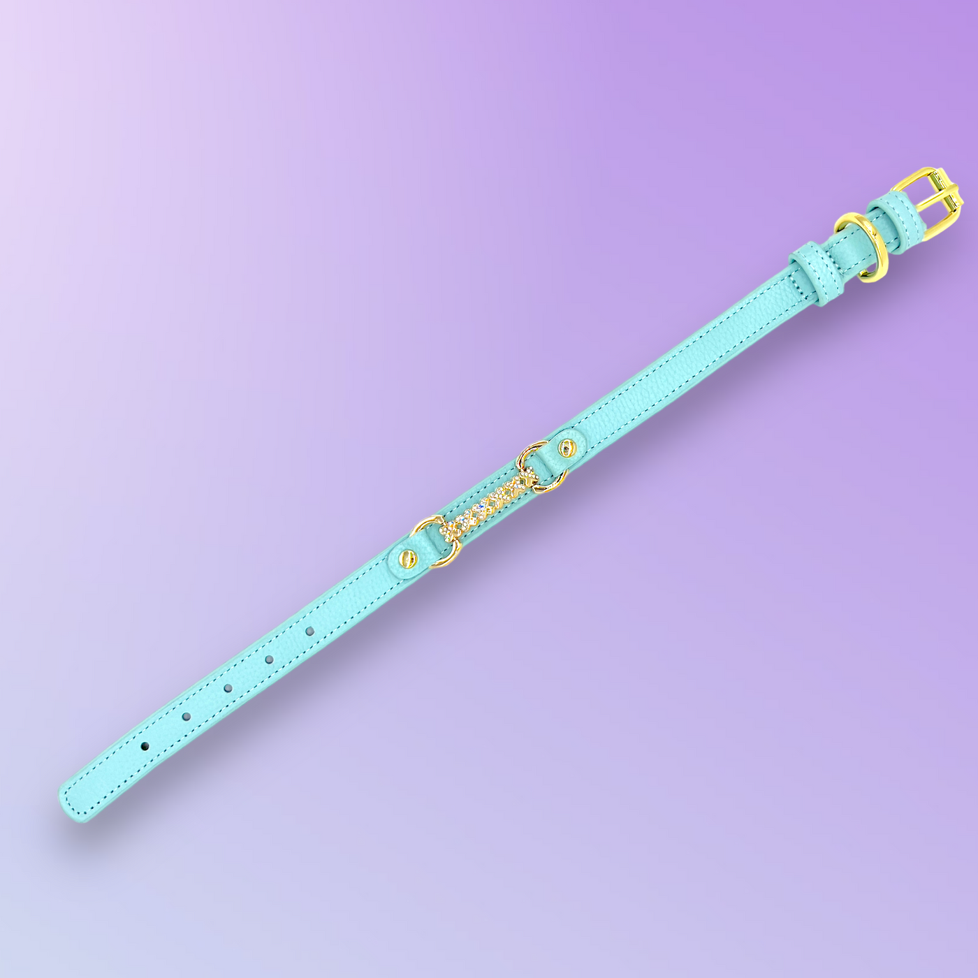 MAXIMA Handmade Leather Dog Collar