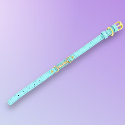 MAXIMA Handmade Leather Dog Collar