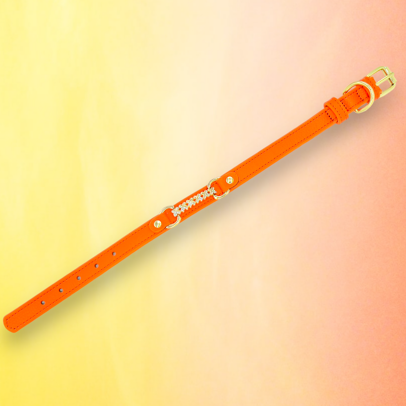 MAXIMA Handmade Leather Dog Collar