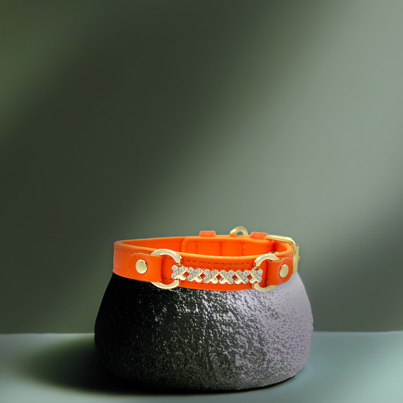 MAXIMA Handmade Leather Dog Collar