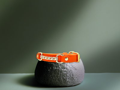 MAXIMA Handmade Leather Dog Collar