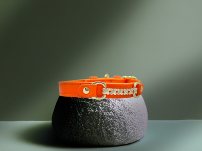 MAXIMA Handmade Leather Dog Collar