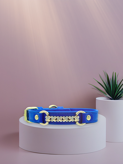 MAXIMA Handmade Leather Dog Collar