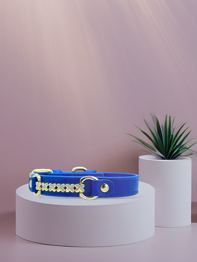 MAXIMA Handmade Leather Dog Collar