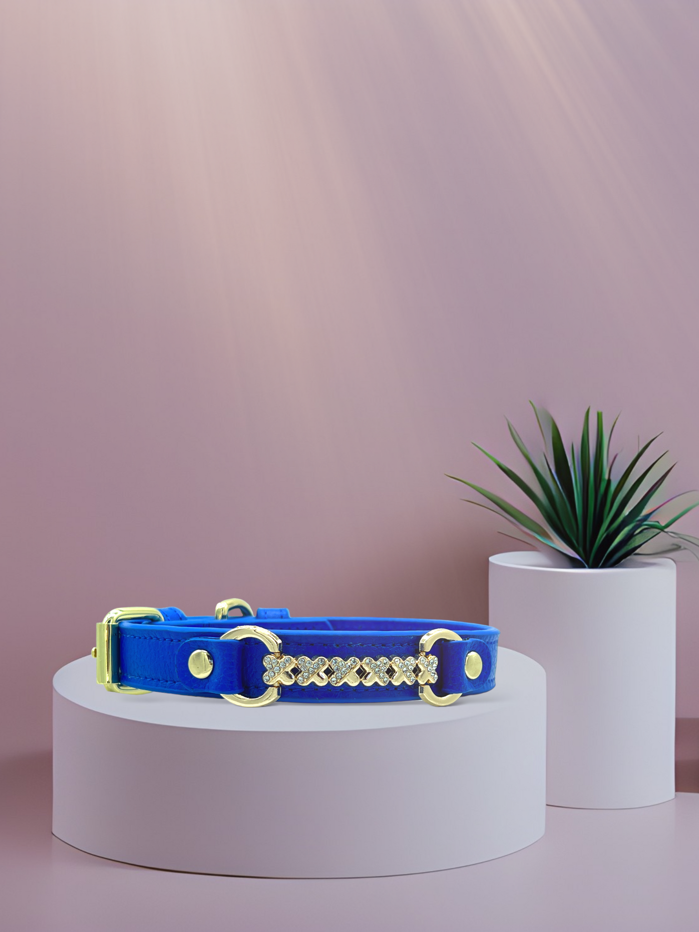 MAXIMA Handmade Leather Dog Collar