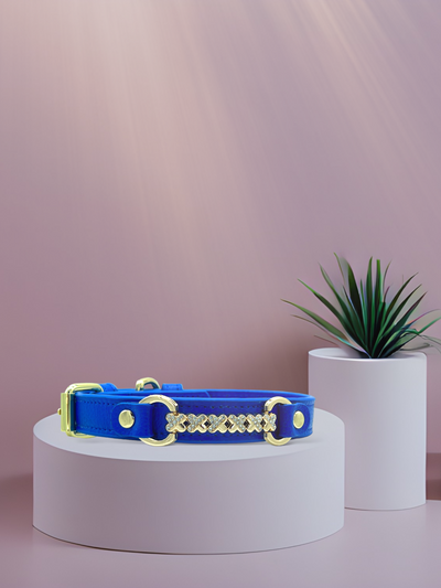 MAXIMA Handmade Leather Dog Collar