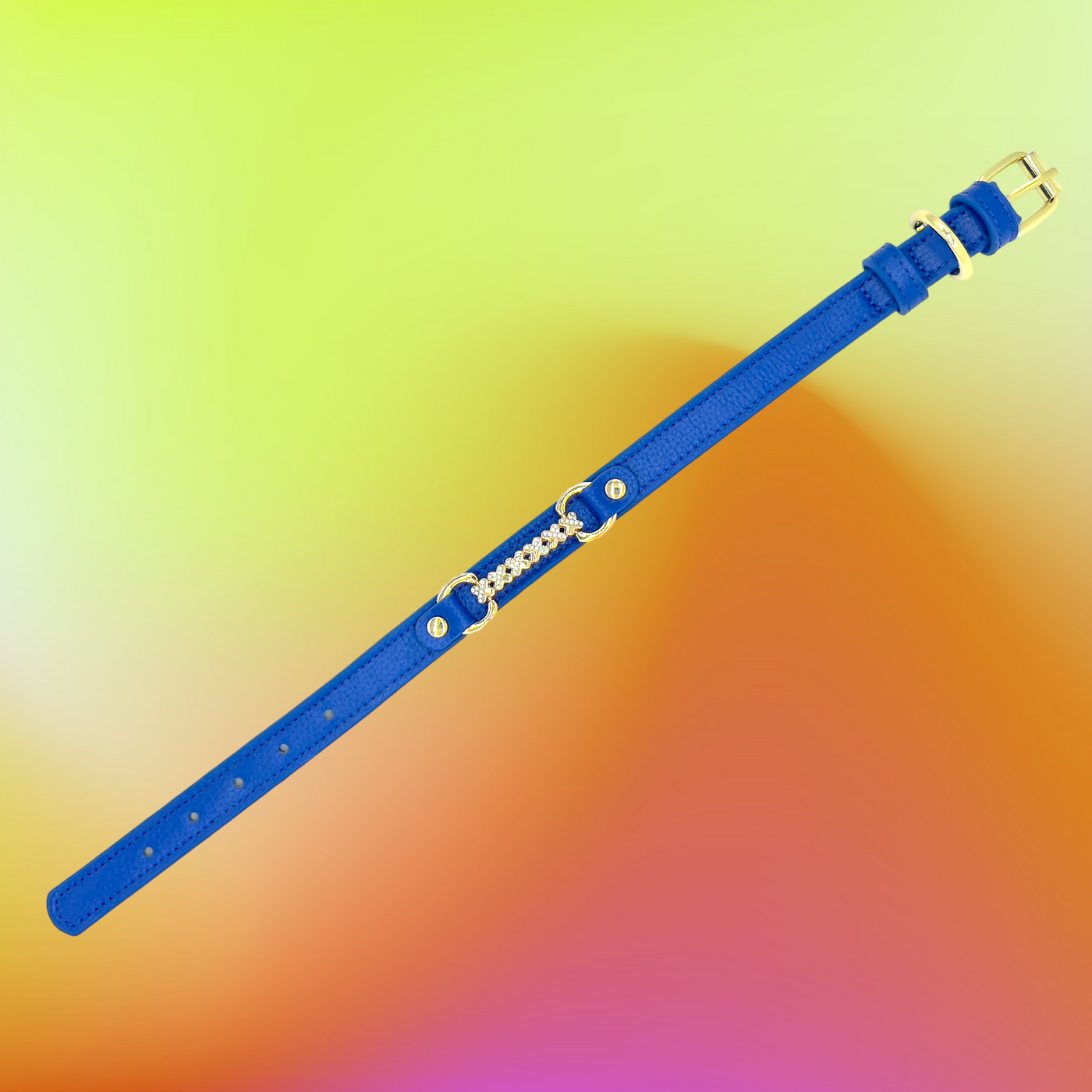 MAXIMA Handmade Leather Dog Collar