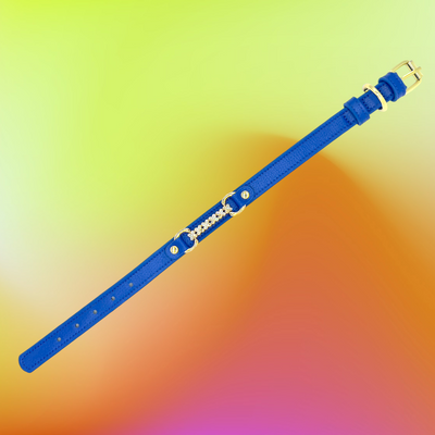 MAXIMA Handmade Leather Dog Collar