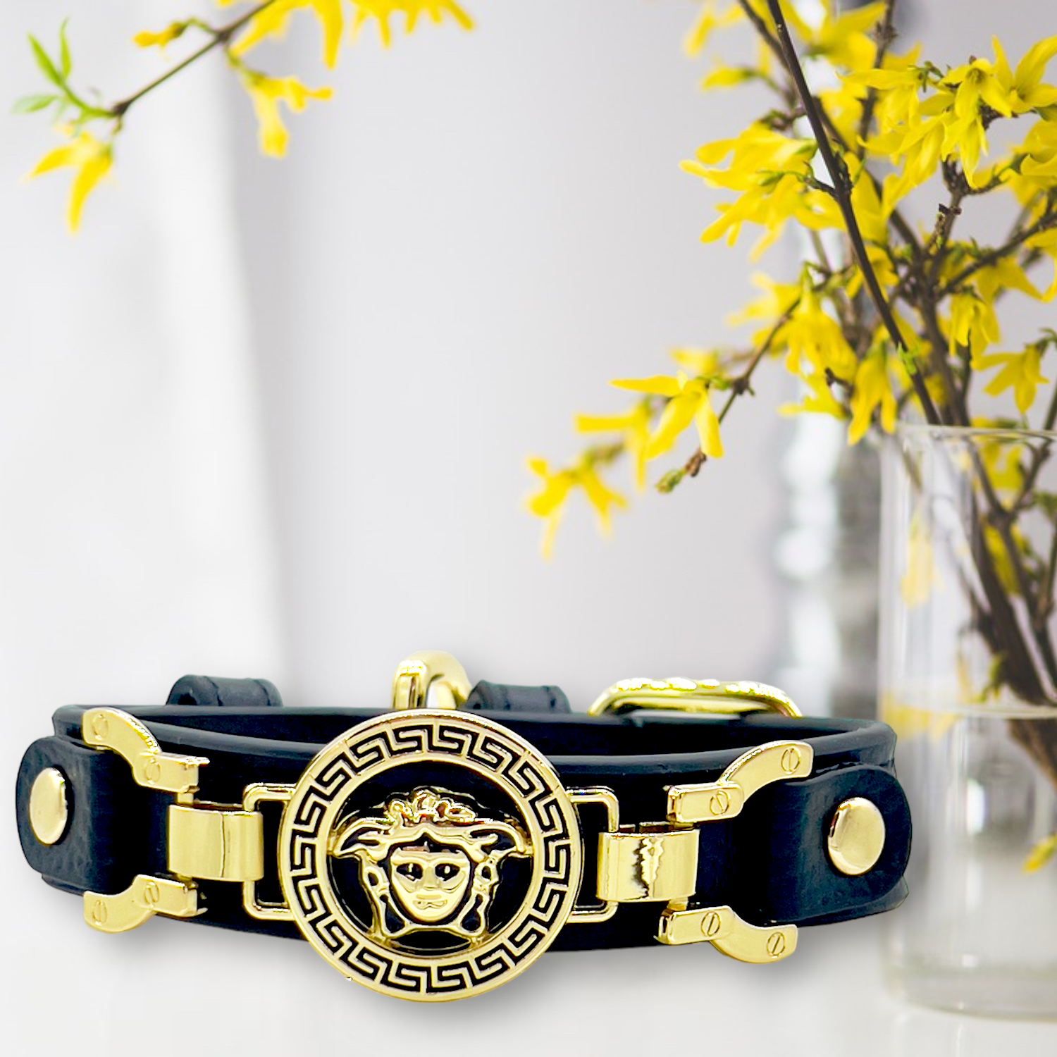 Medusa dog collar sales