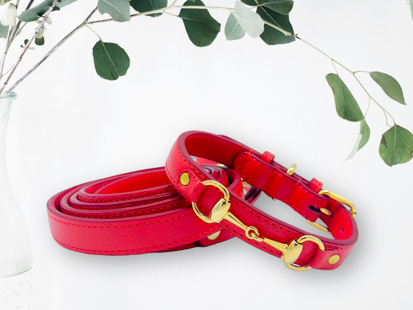 PUPWISER Handmade Leather Dog Leash