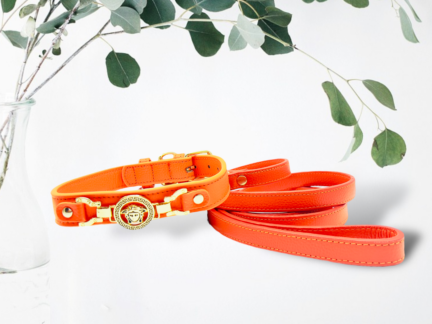 PUPWISER Handmade Leather Dog Leash