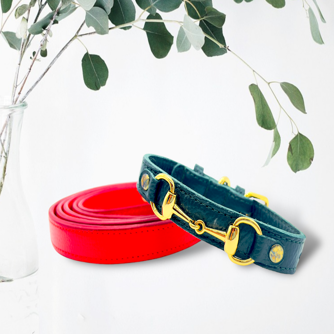 PUPWISER Handmade Leather Dog Leash