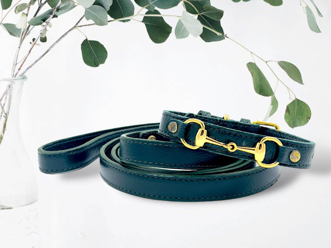 PUPWISER Handmade Leather Dog Leash
