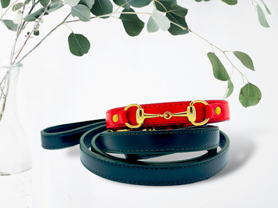 PUPWISER Handmade Leather Dog Leash