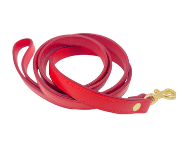 PUPWISER Handmade Leather Dog Leash