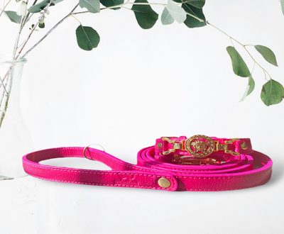 PUPWISER Handmade Leather Dog Leash