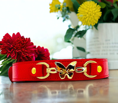 BUTTERFLY Handmade Leather Dog Collar