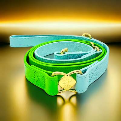 PupWiser Handmade Leather Dog Leash V2