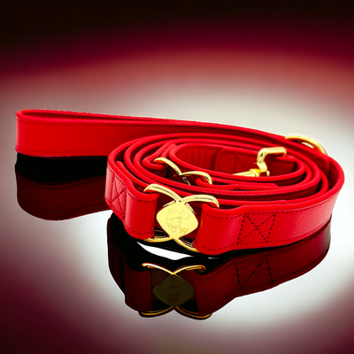 PupWiser Handmade Leather Dog Leash V2