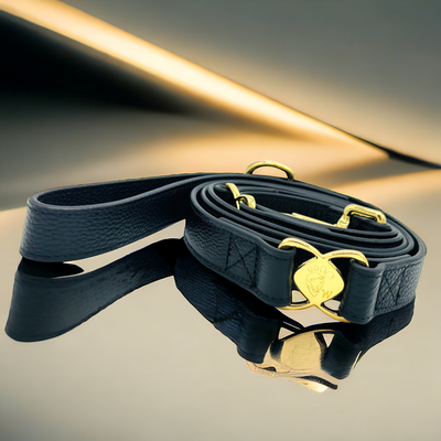 PupWiser Handmade Leather Dog Leash V2