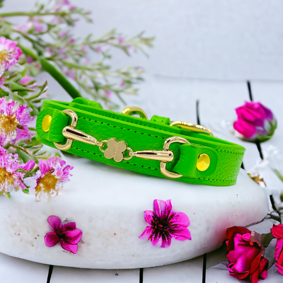 CLOVER Handmade Leather Dog Collar