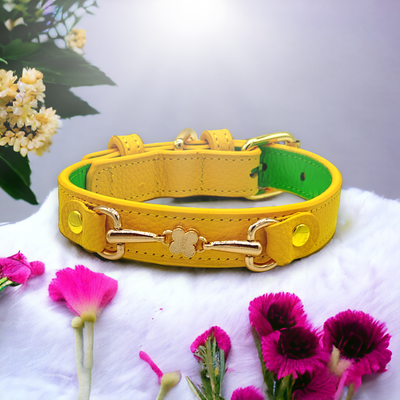 CLOVER Handmade Leather Dog Collar