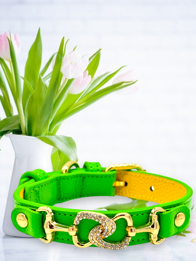 "D" Diamond Handmade Leather Dog Collar