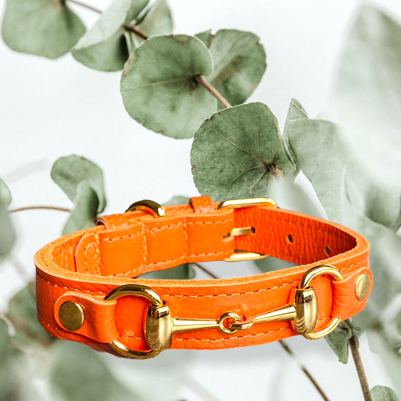 PRINCESS GRACE Handmade Leather Dog Collar (Orange)