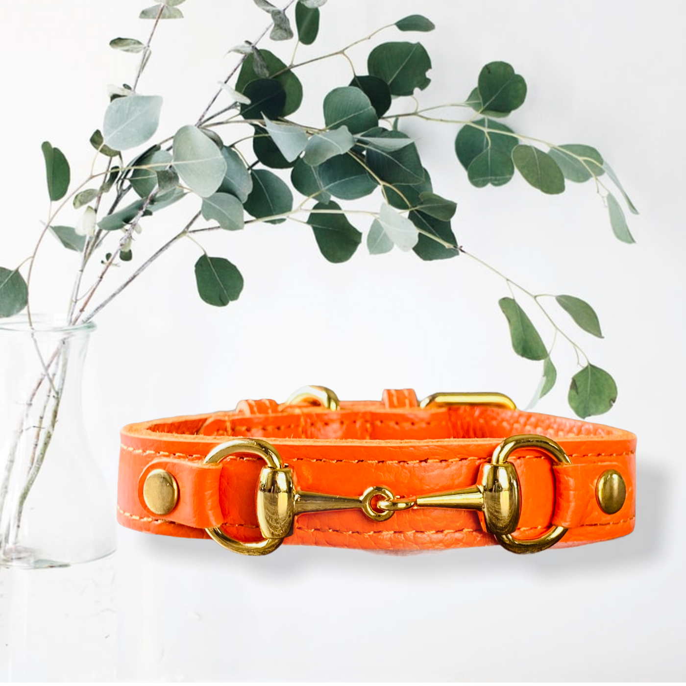 PRINCESS GRACE Handmade Leather Dog Collar (Orange)