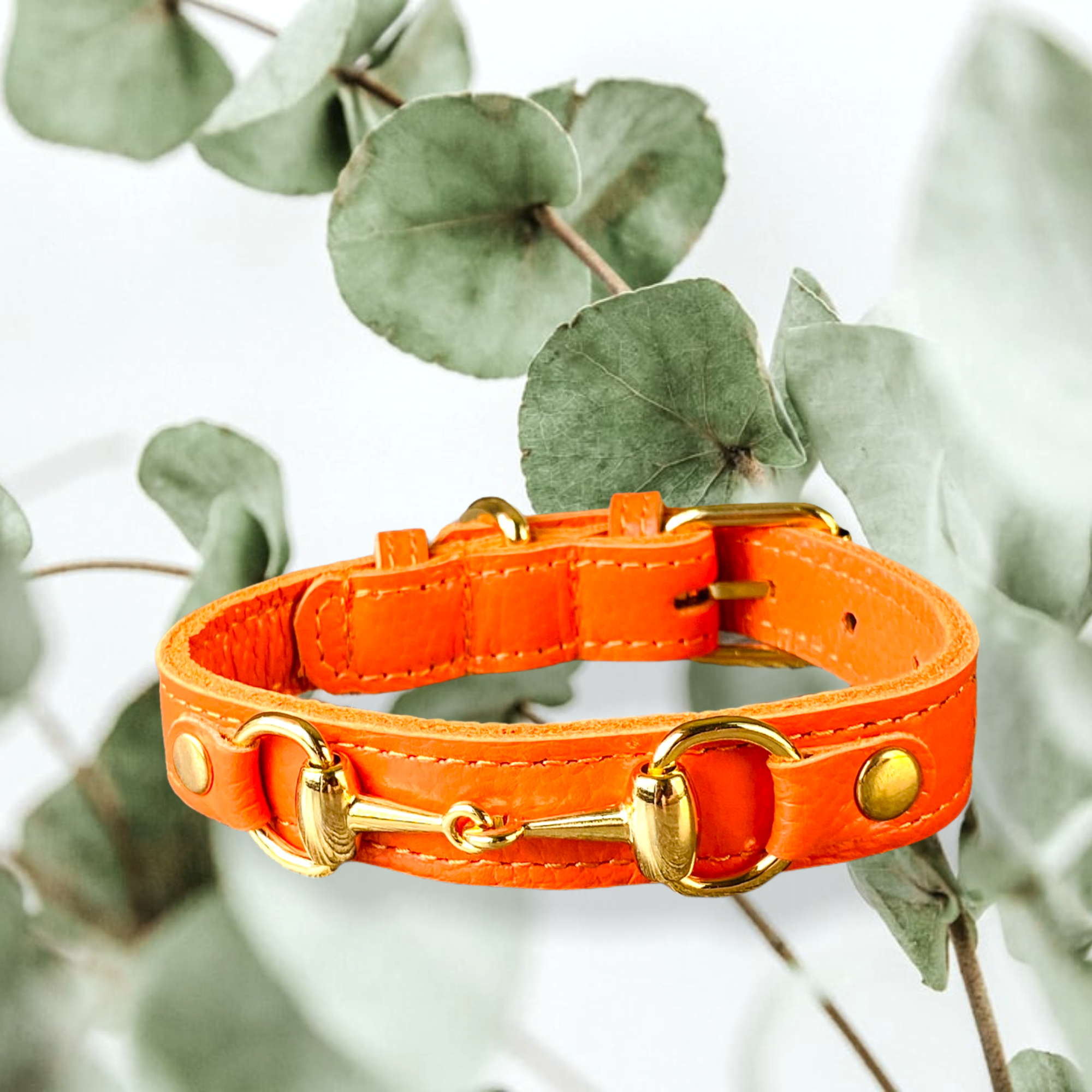 PRINCESS GRACE Handmade Leather Dog Collar (Orange)