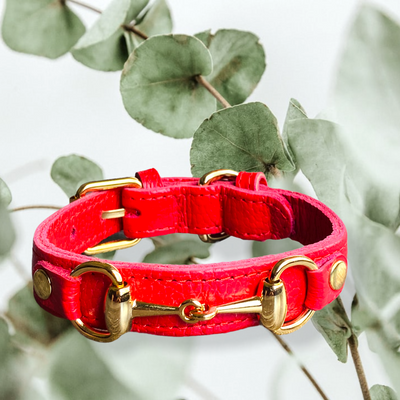 PRINCESS GRACE Handmade Leather Dog Collar (Maroon)