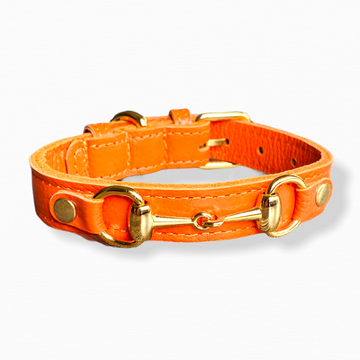 PRINCESS GRACE Handmade Leather Dog Collar (Orange)