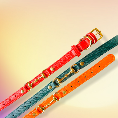 PRINCESS GRACE Handmade Leather Dog Collar (Orange)