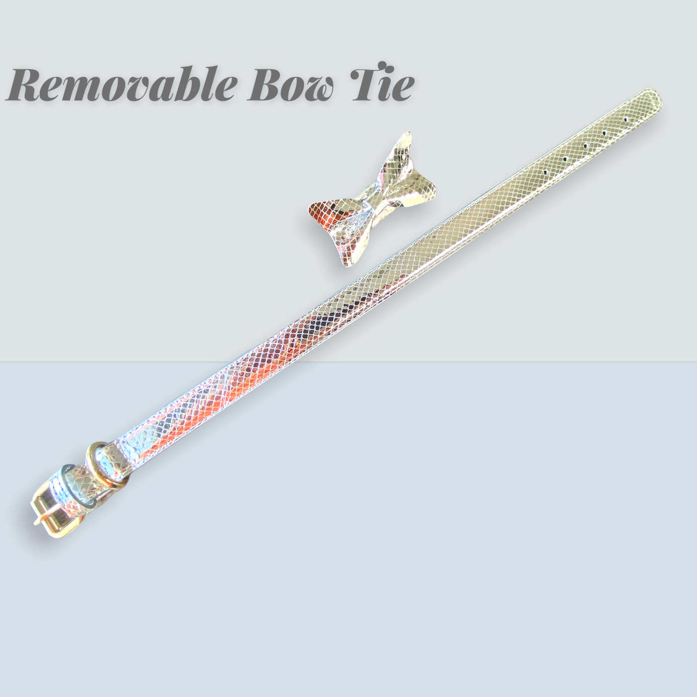 GIN Handmade Leather Dog Collar